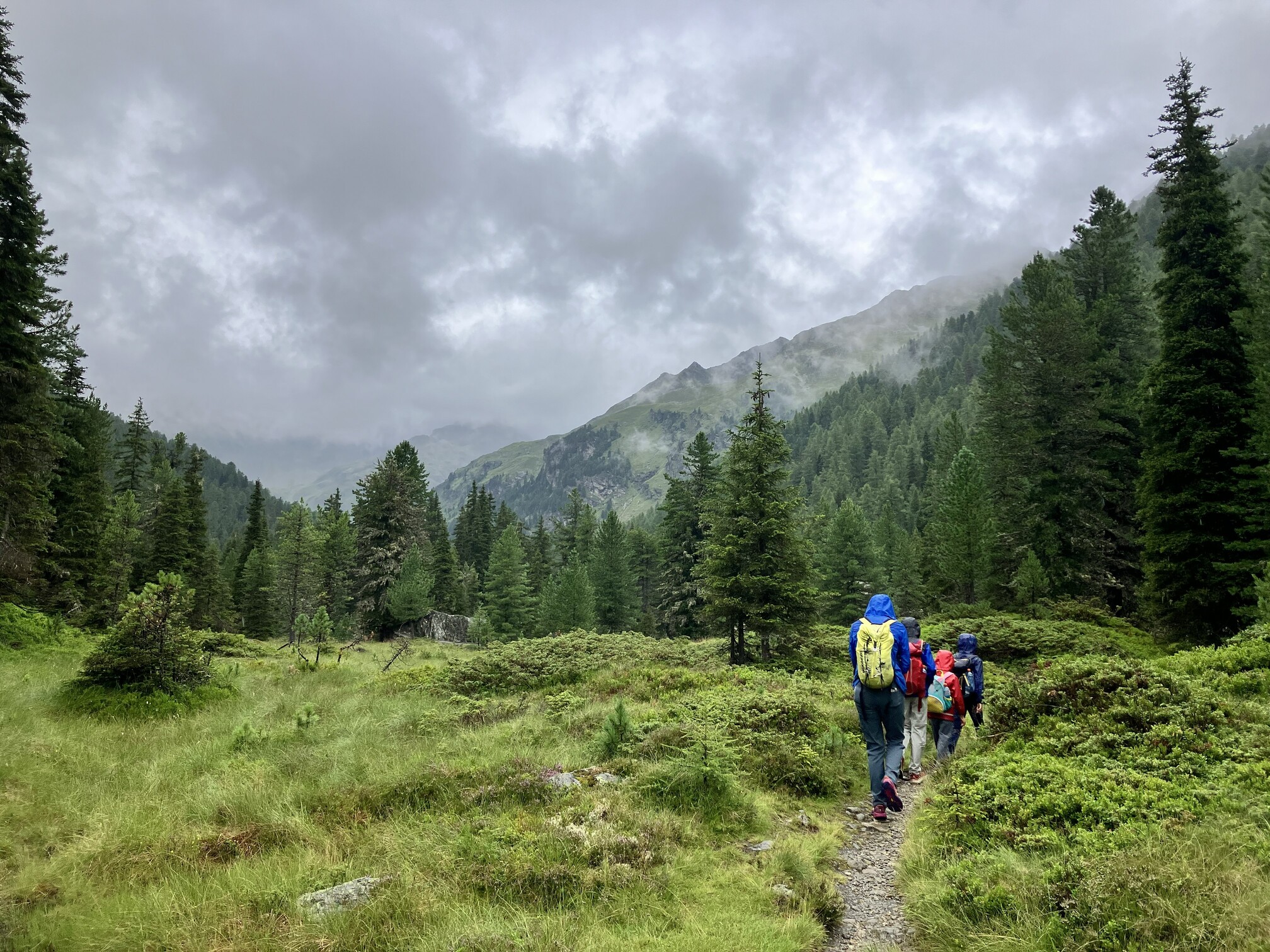 Rainy hike up to Lienzer hut